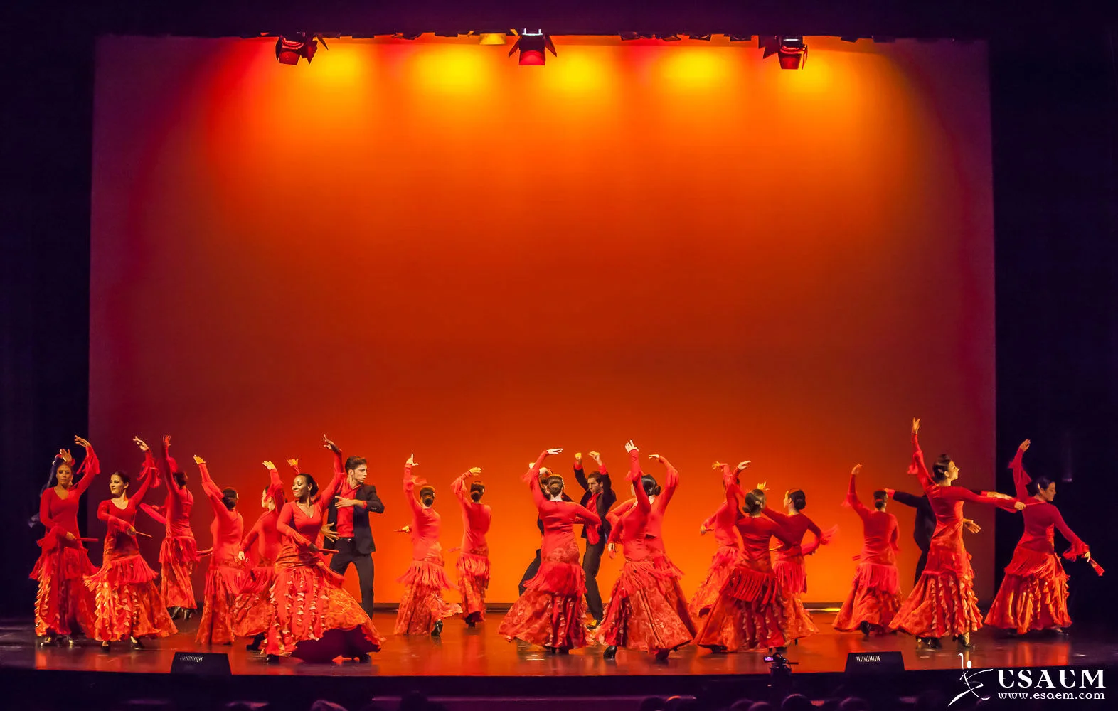 Carmen, el legado I Gala Premios ESAEM 2014