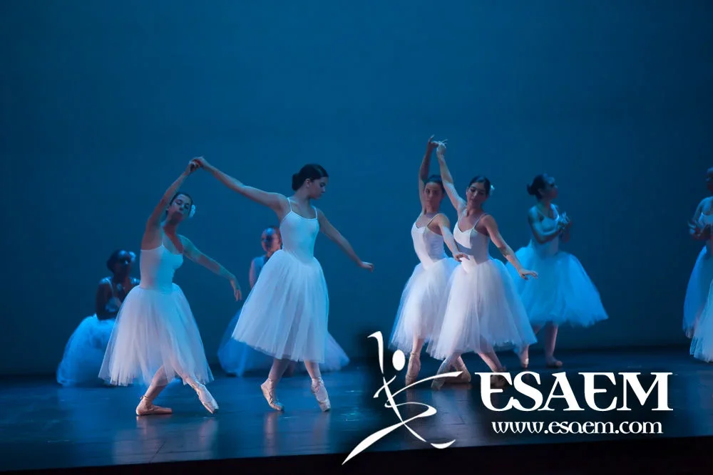 GALA Elemental 2013 10-005